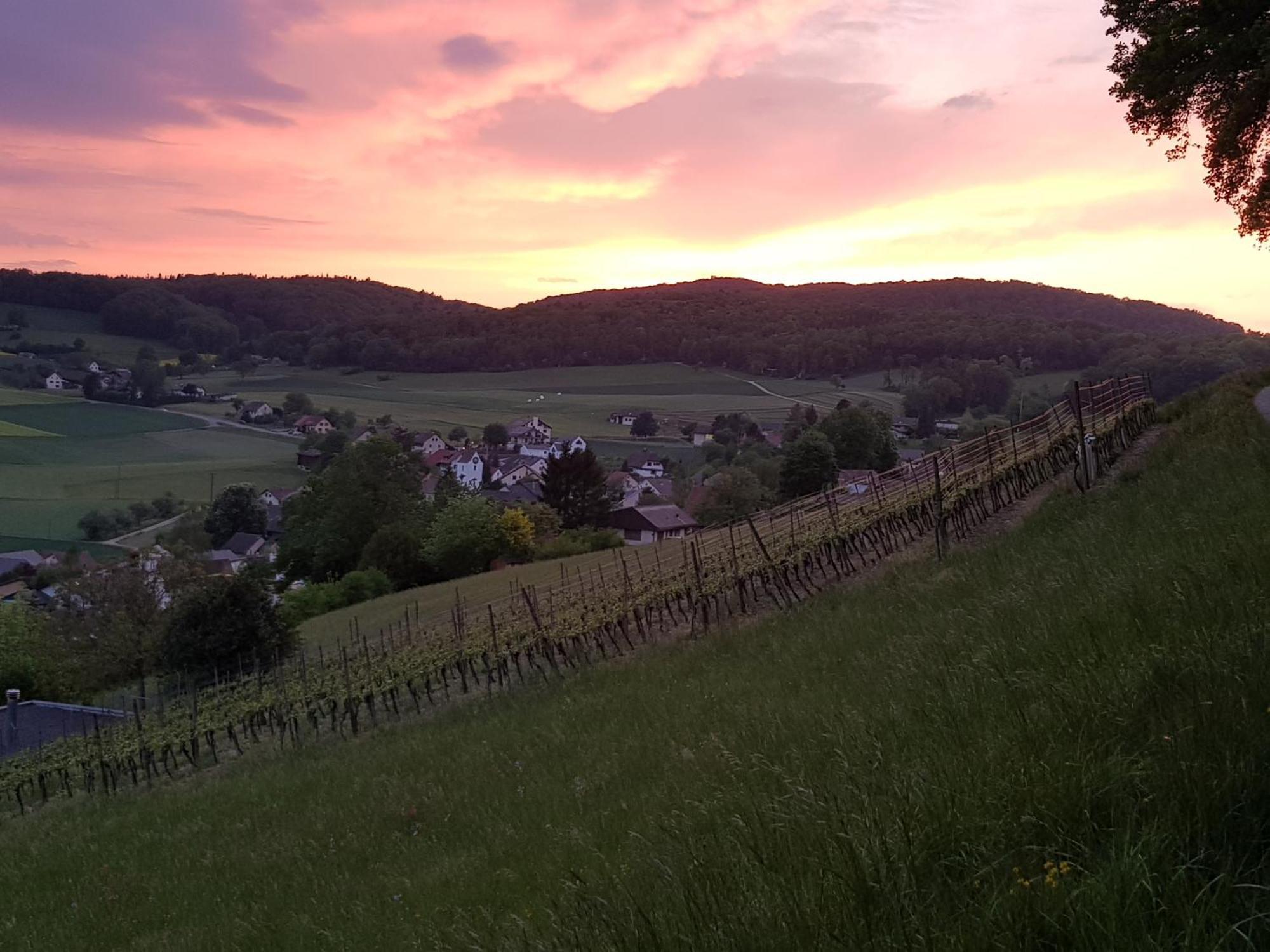 Bnb Moenthal Im Jurapark Monthal Exterior foto