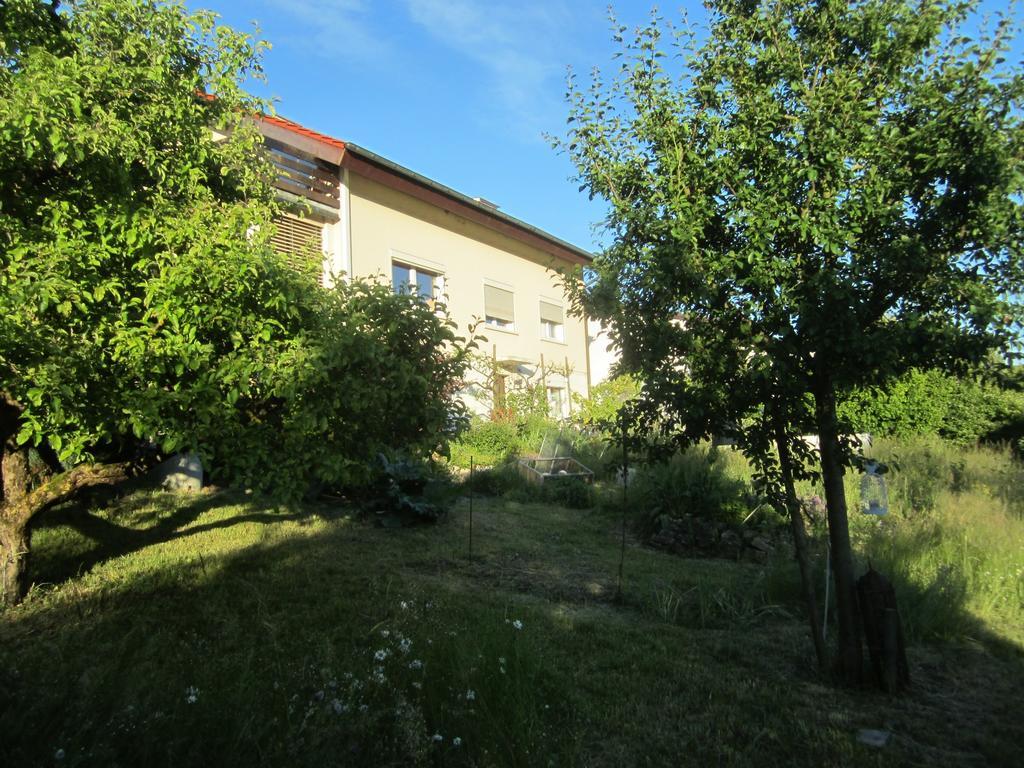 Bnb Moenthal Im Jurapark Monthal Exterior foto